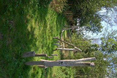 Bois ludique De Motte