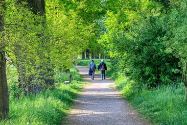 Mensen die wandelen